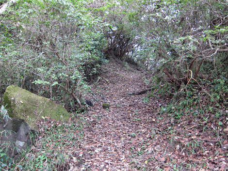 20191024hike (41)